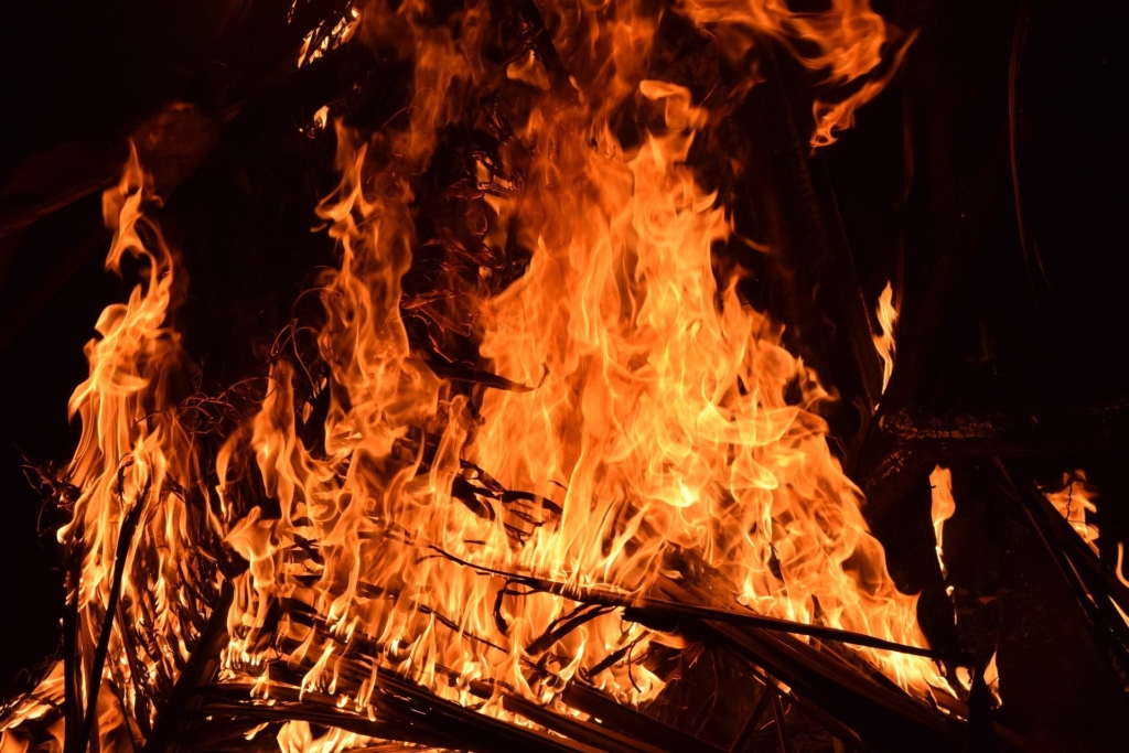 炎が燃え盛る画像。炎タイプのホゲータをイメ―ジした画像。