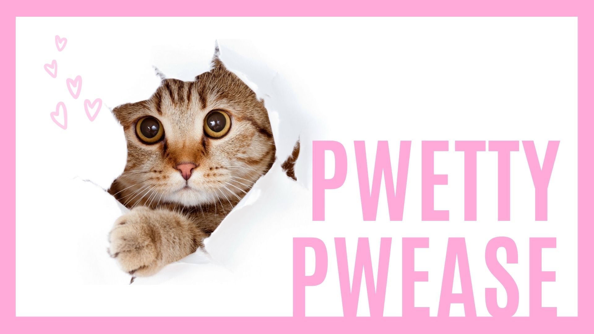 猫が壁から出てくるアイキャッチ画像。pewtty, pwease, pretty please, 英語, english, 意味